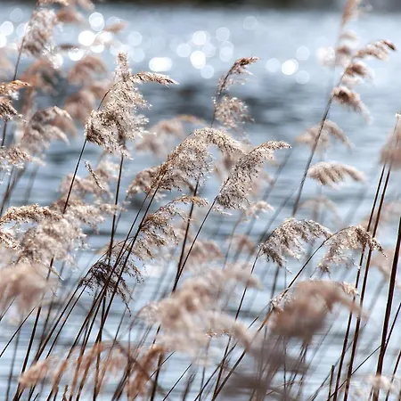 Gaestehaus Am Fischerweg Seerose Apartament Lauterbach (Rugen)